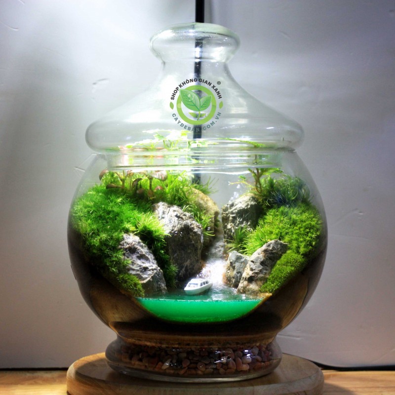 Terrarium Góc Thiên Nhiên