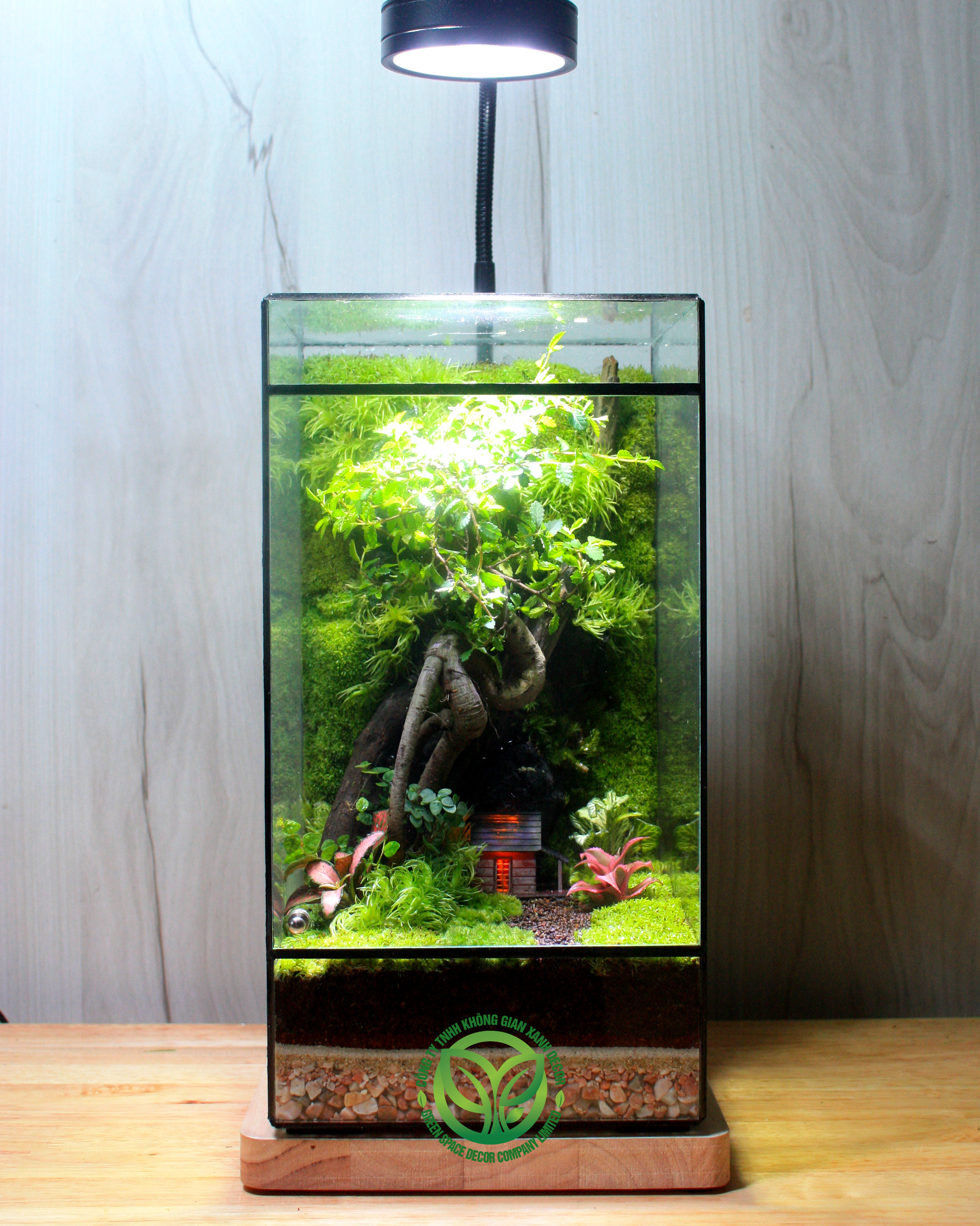 Terrarium Cội Nguồn