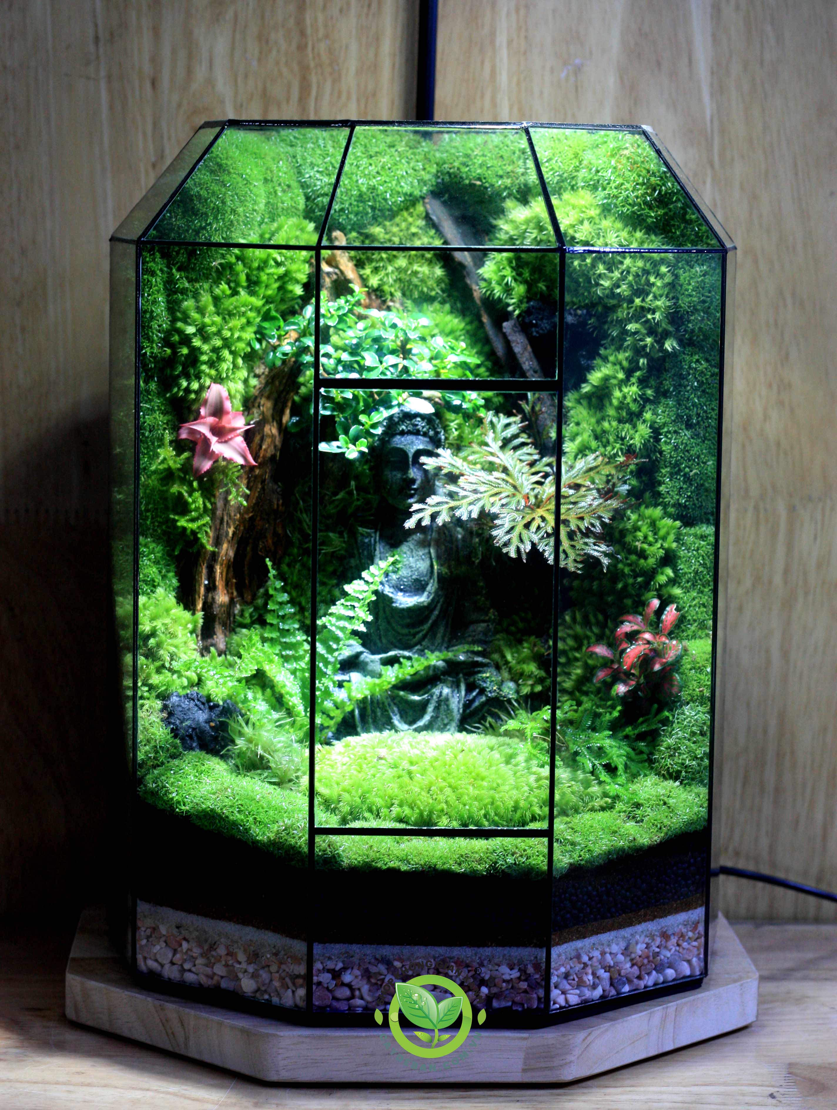 Terrarium-MS017.2
