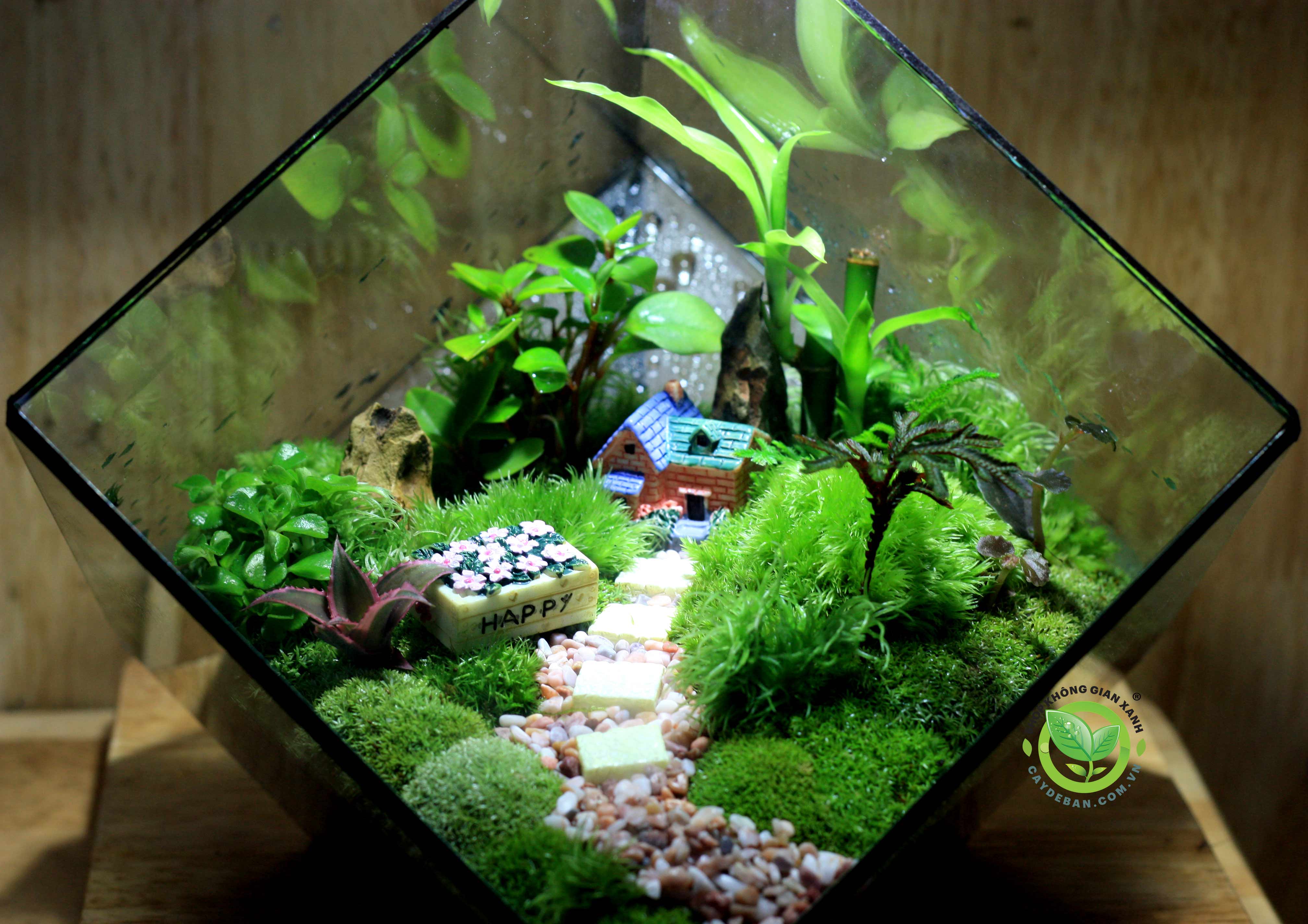 Terrarium MS24.2 Happy Garden