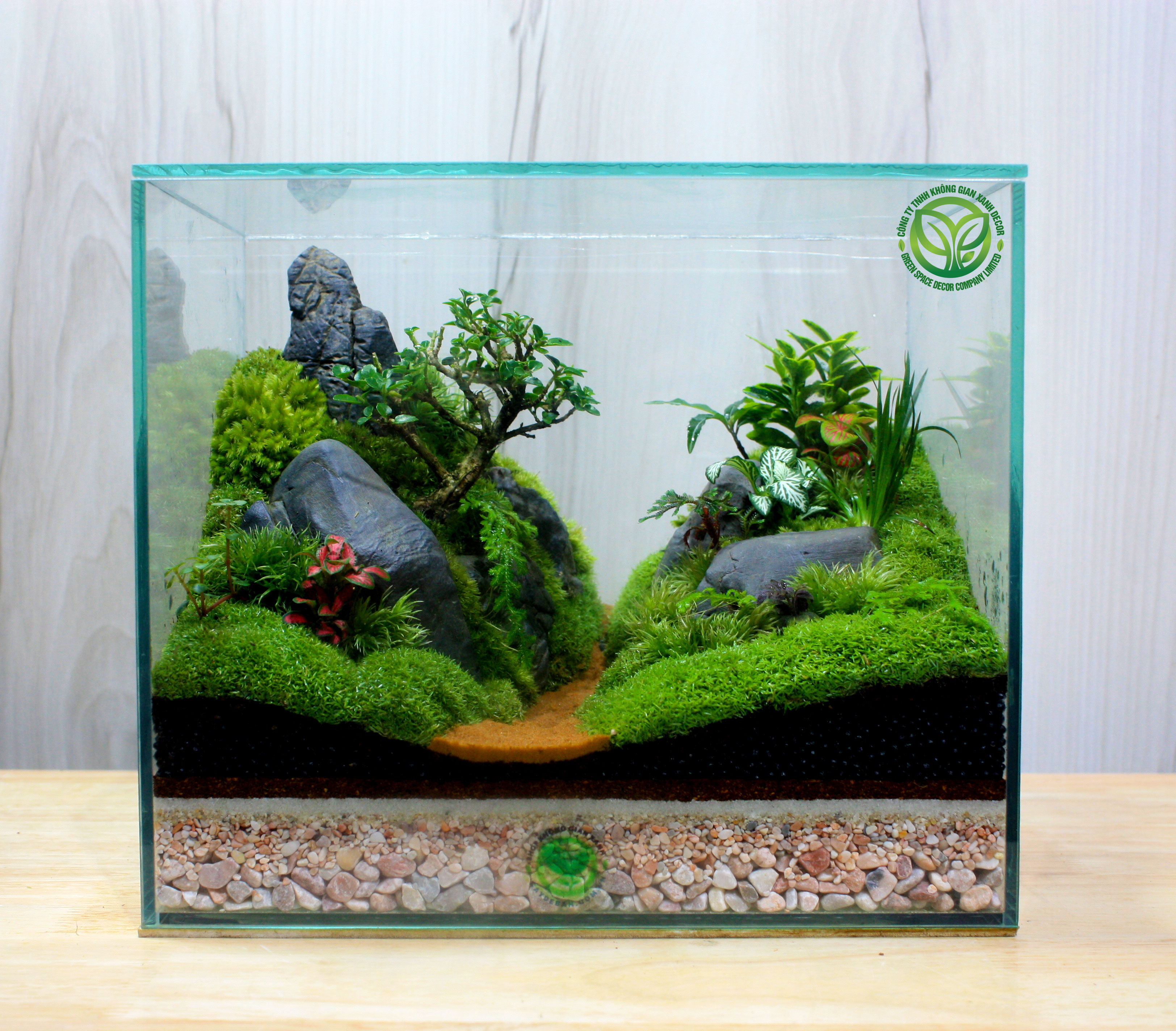 Terrarium Lối Về Bình Yên