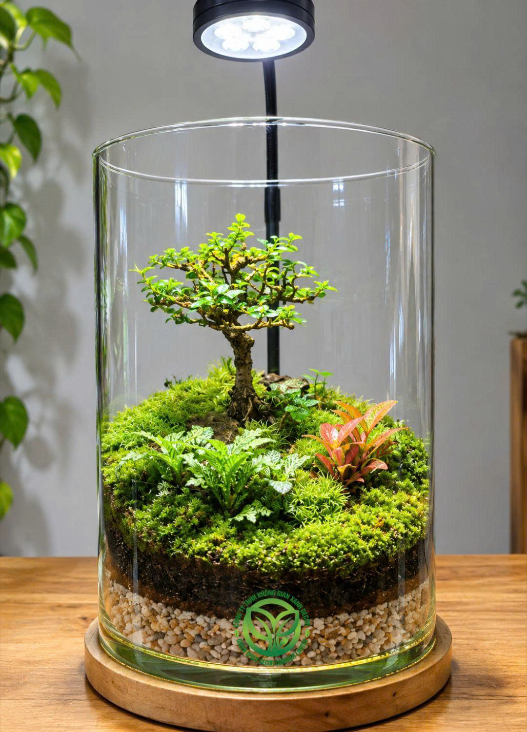 Terrarium Trụ 35