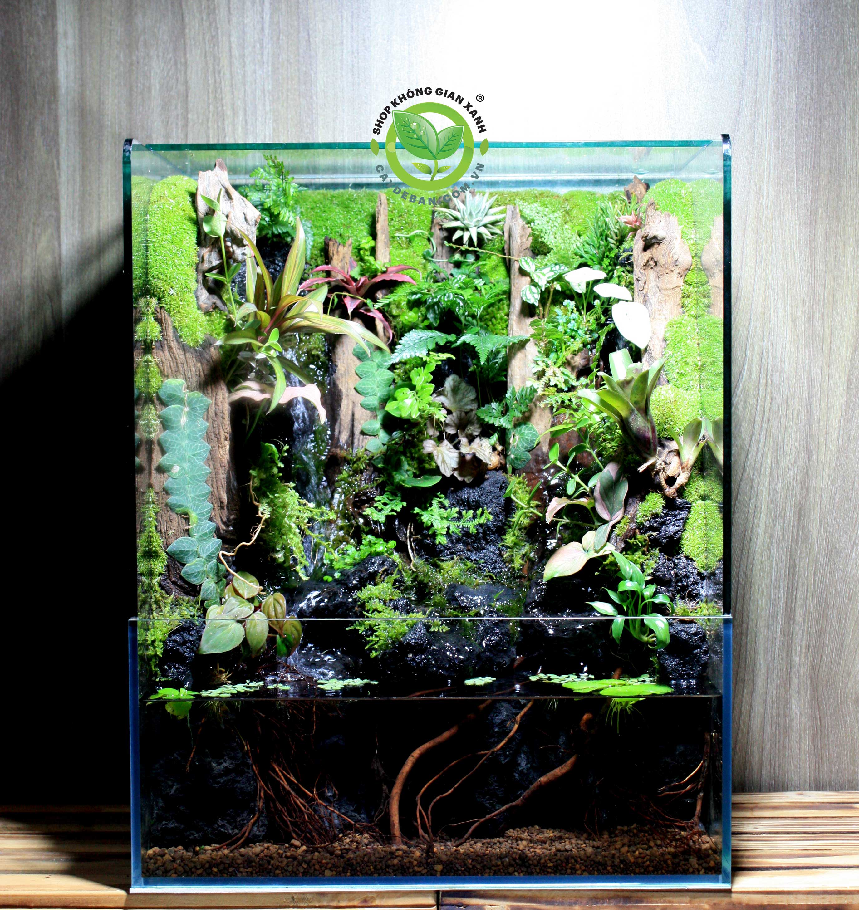 Paludarium Thác Đôi