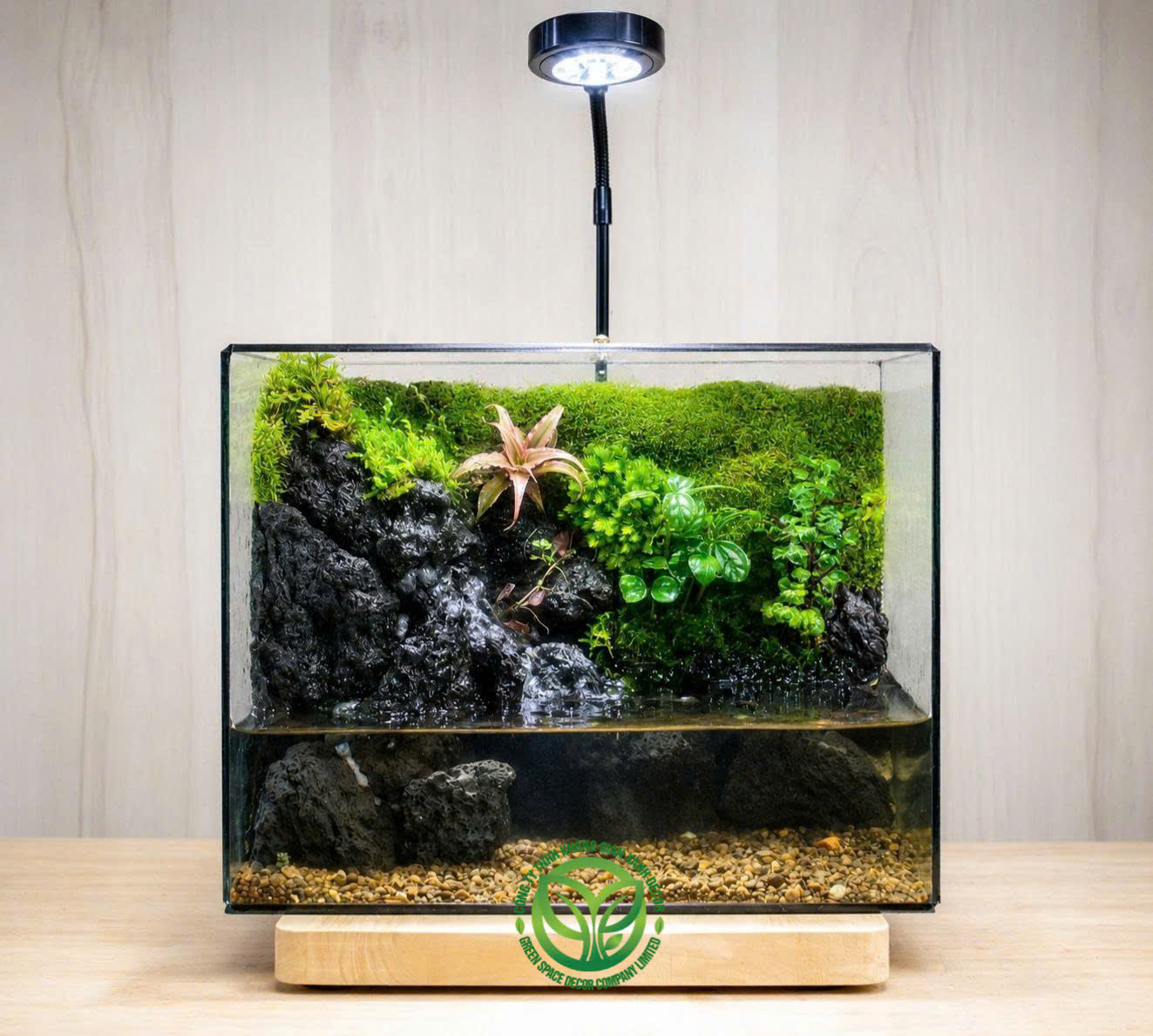 Paludarium Suối Nhỏ 25.15.20