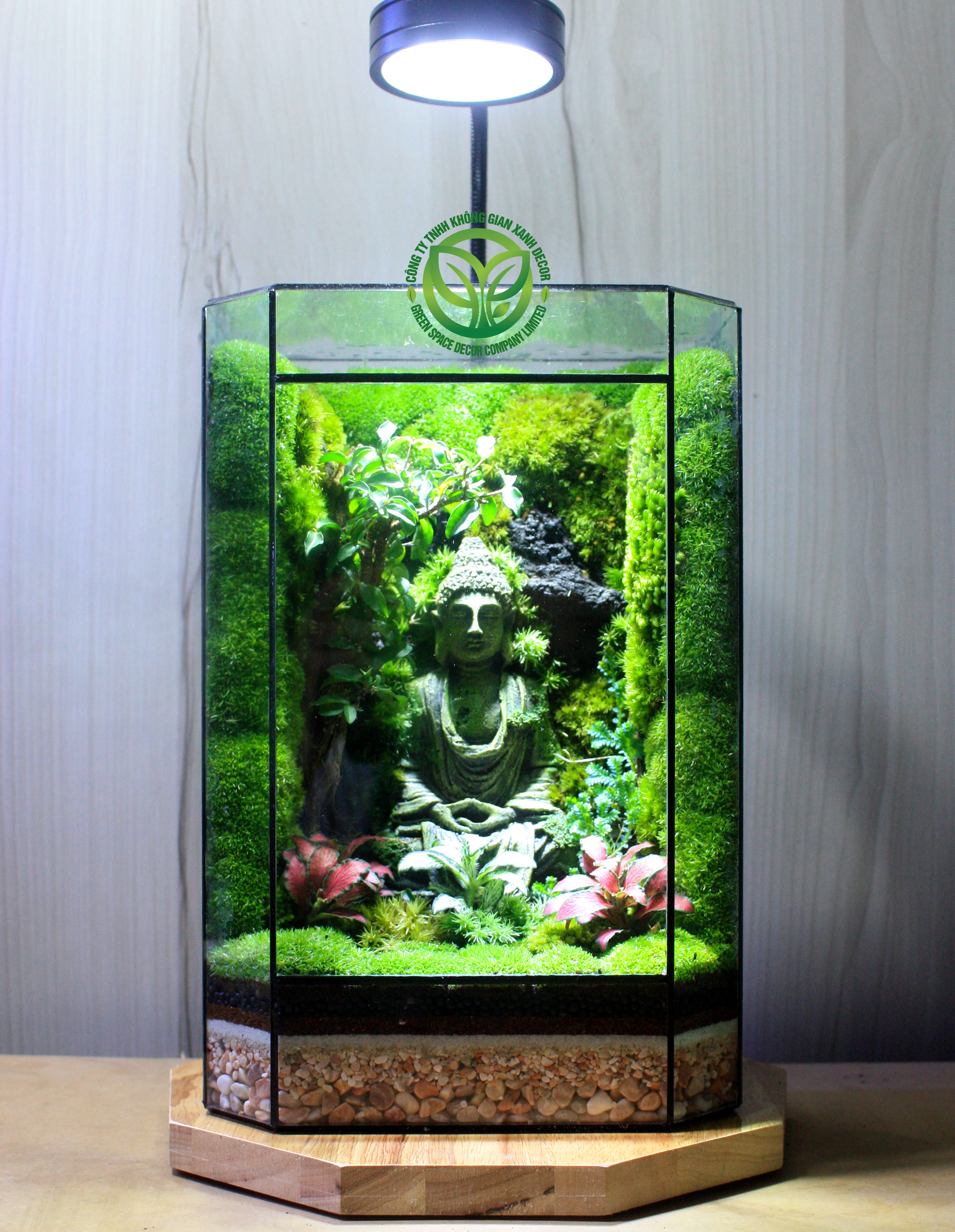 Terrarium-MS14-Tịnh Tâm