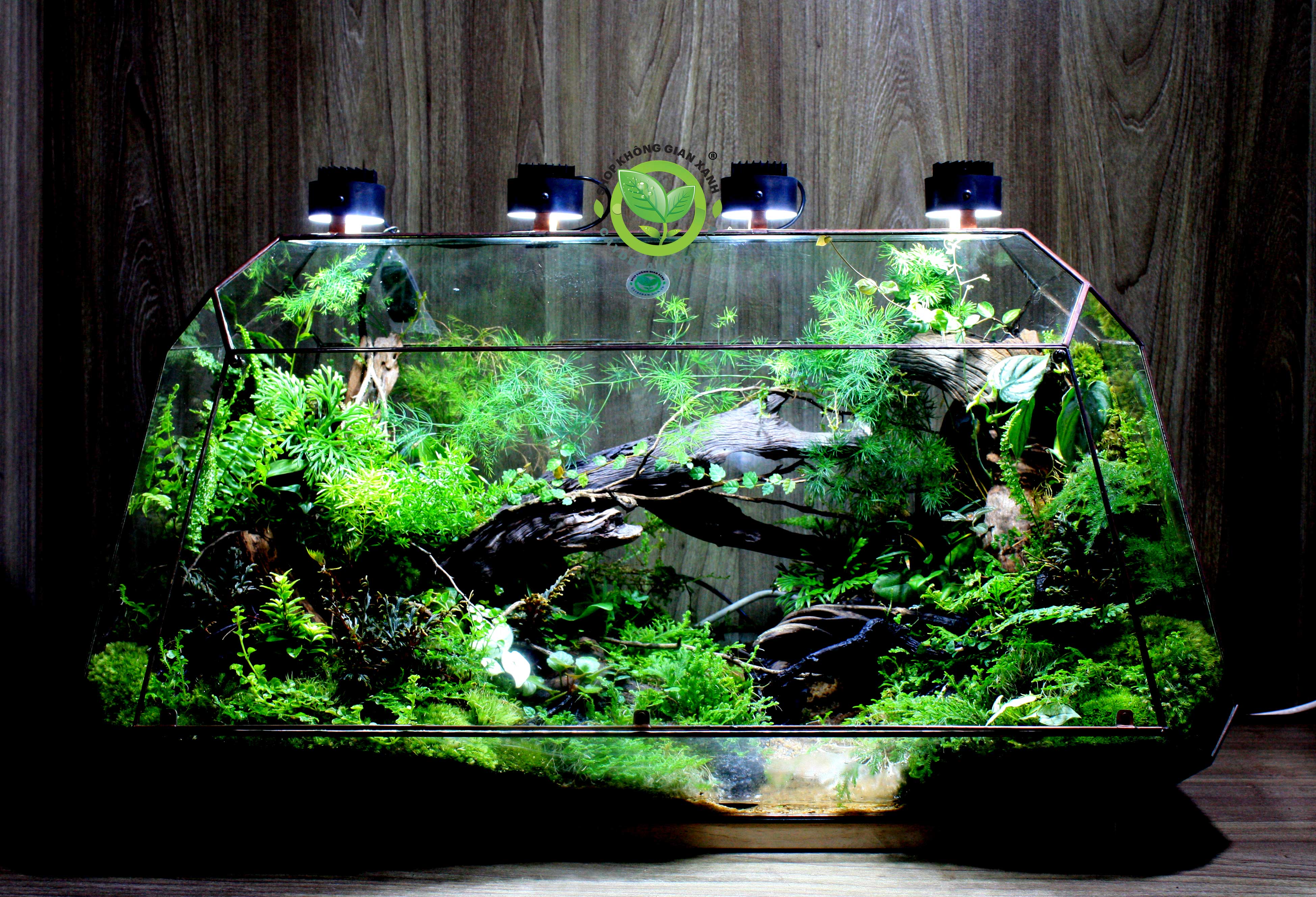 Terrarium Vulcan Natural 80