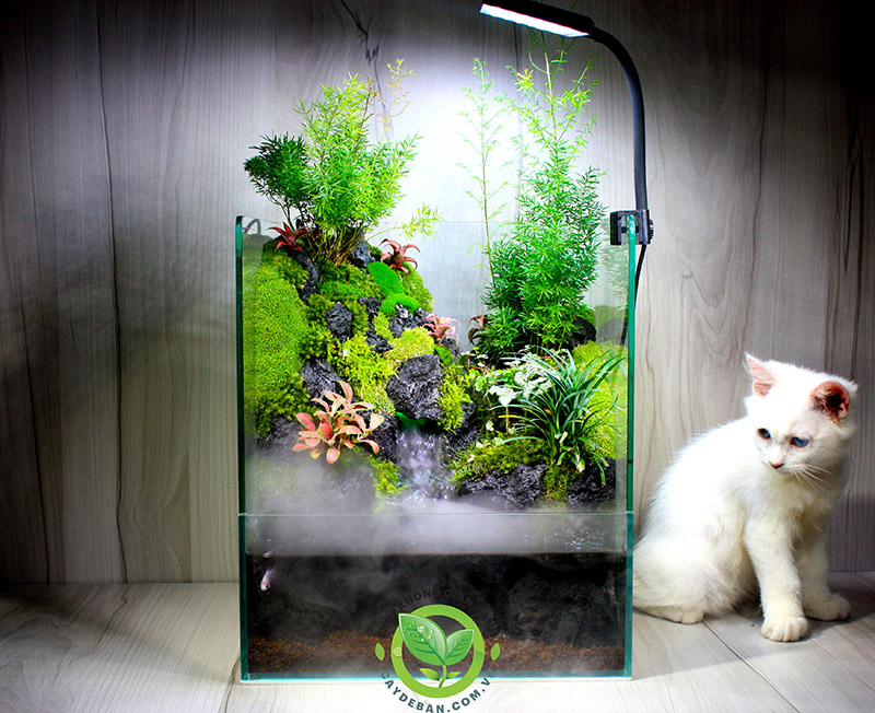 Đồi Trúc 40.30.45