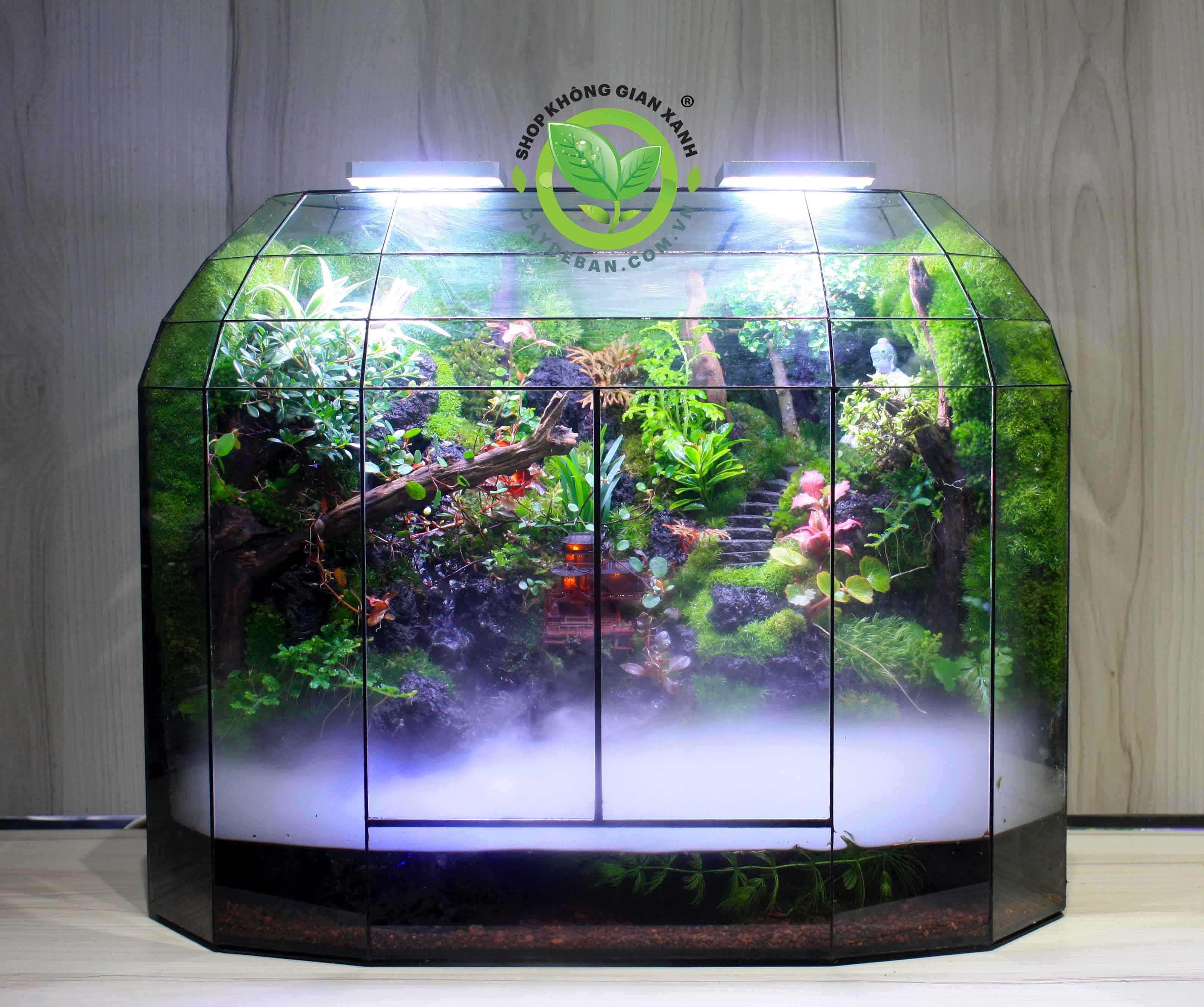 Paludarium Mountain Dome 50