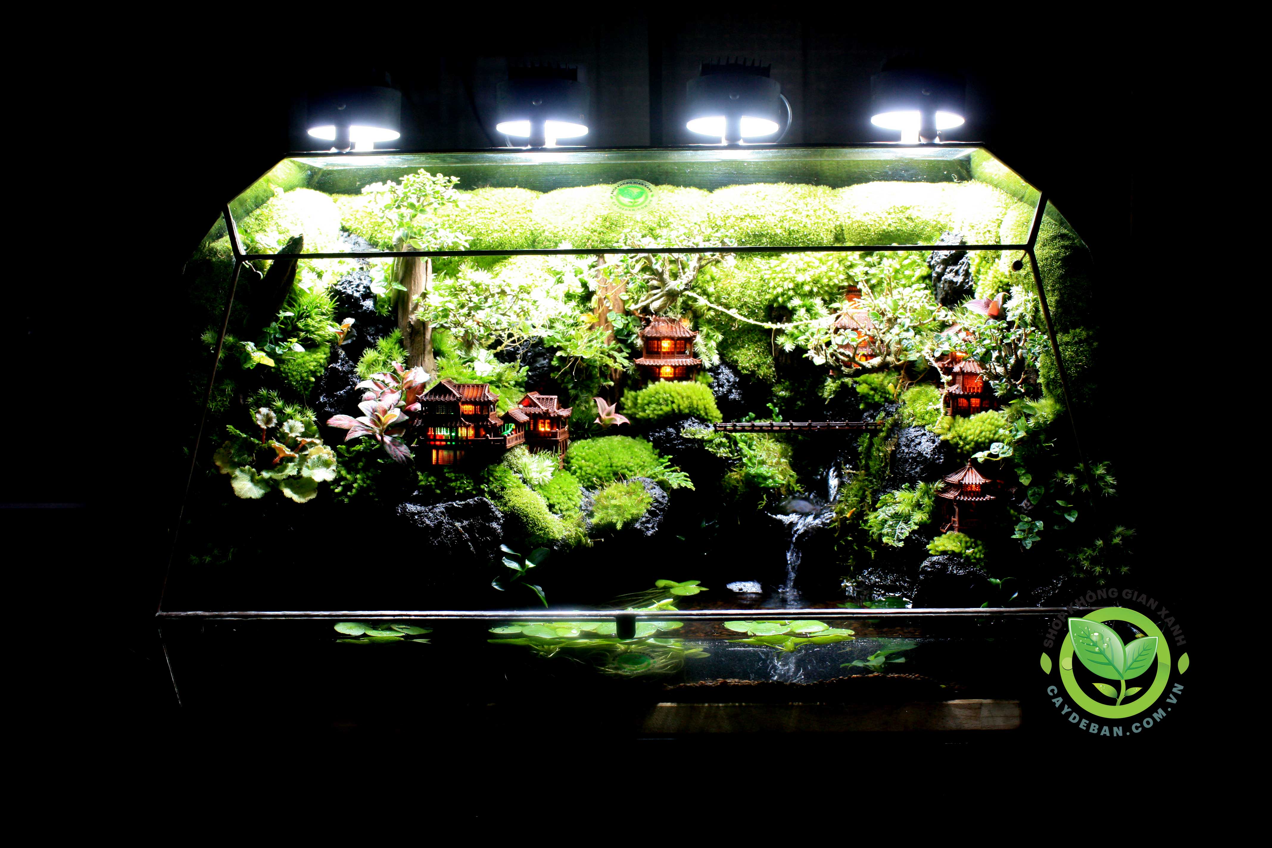 Paludarium Vulcan60