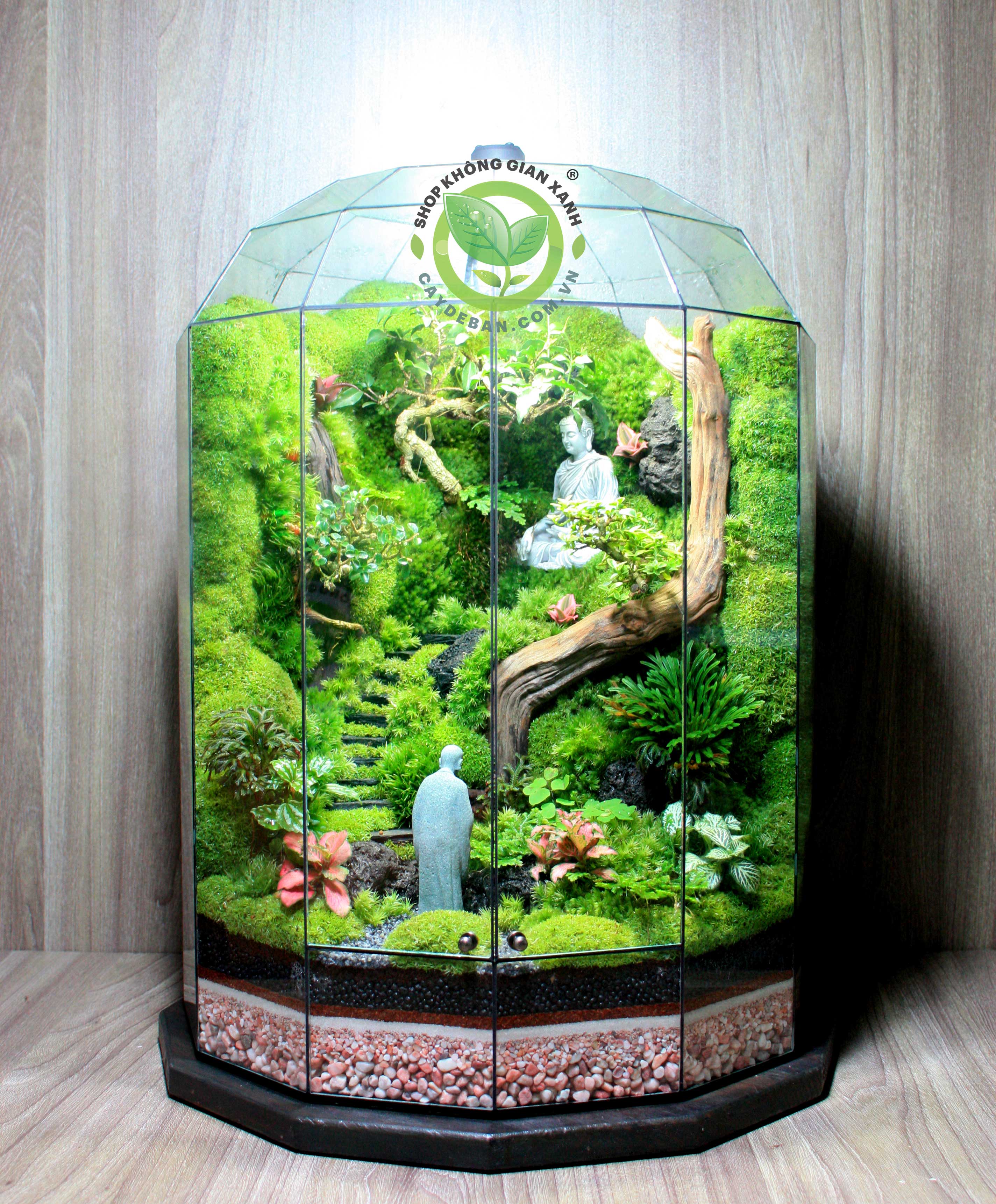 Terrarium-Bái Phật