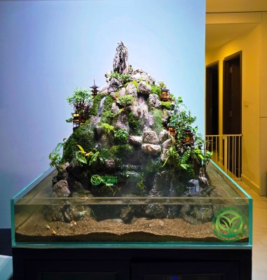 Paludarium Bồng Lai Cổ Trấn