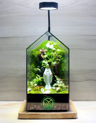 Terrarium Ngôi Nhà Của Mẹ
