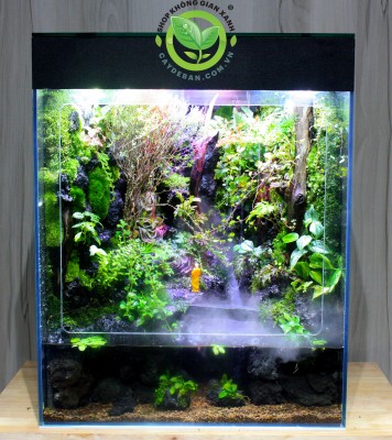 Bái Phật Trong Mưa