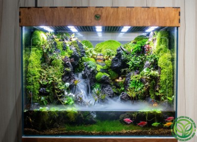 Mưa Qua Phố Núi 60.40.50