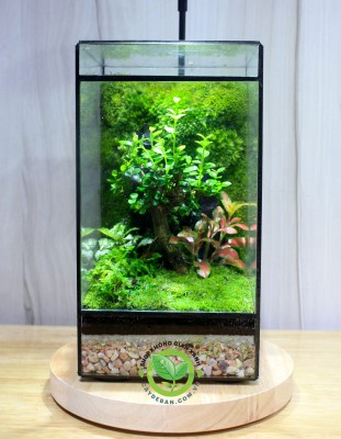 Terrarium-MS18