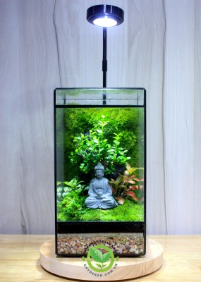 Terrarium-MS18.1