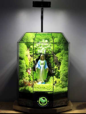 Terrarium-MS017.8