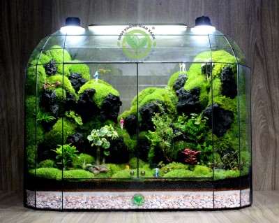 Terrarium Mountain Dome 45