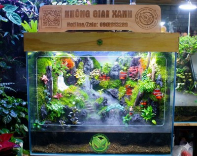 Mưa Trên Đại Ngàn 60.40.50