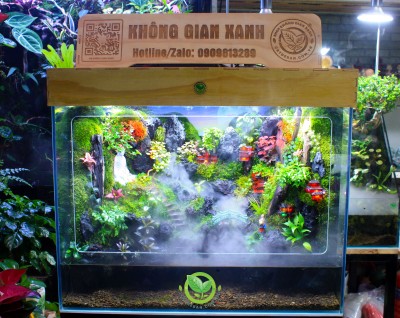 Mưa Trên Đại Ngàn 60.40.50