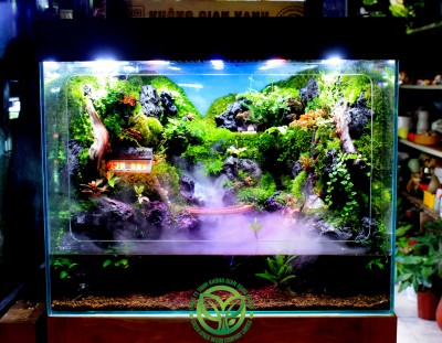 Mưa Chiều Bên Ô Cửa