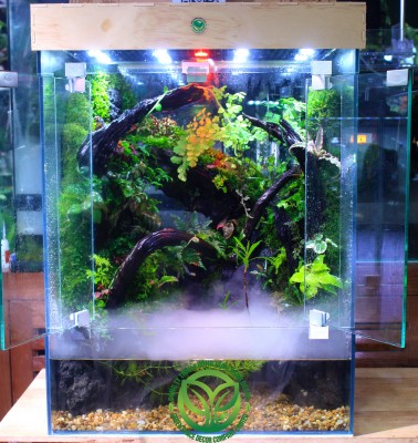 Rainforest Mưa Giữa Suối Rừng 50.35.68