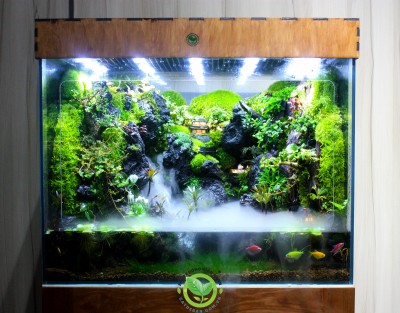 Mưa Qua Phố Núi 60.40.50