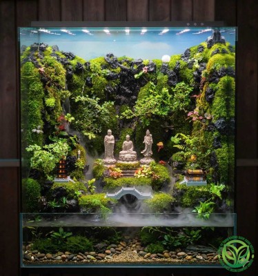 Mưa Trên Cõi Bồng Lai - Rainforest 100.60.120