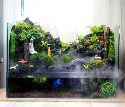 Thượng Uyển Sơn Mây