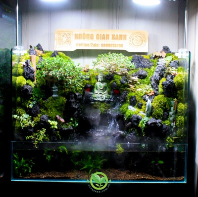 Paludarium-Tịnh Tâm 845