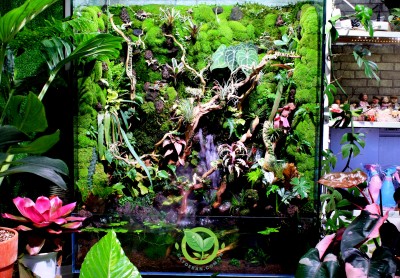 Paludarium Natural 01