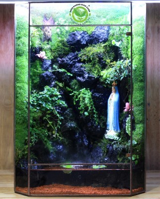 Paludarium Mẹ Ban Ơn