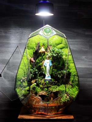 Terrarium-Mẹ Bình An
