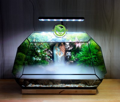 Paludarium MS10 Thánh Gia