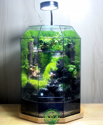 Paludarium Làng Yên Bình