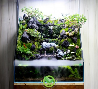 Paludarium Long Quy