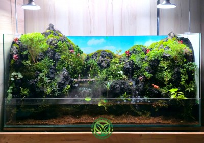 Paludarium Mây Núi Trường Sơn