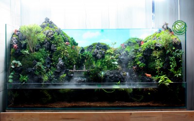 Paludarium Mây Núi Trường Sơn