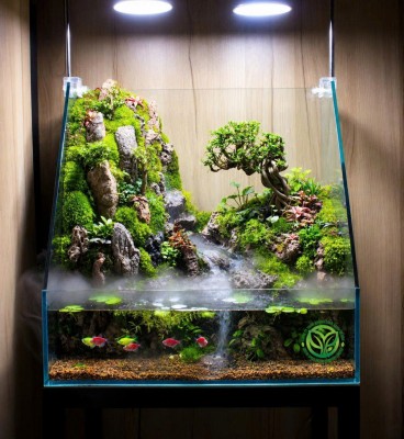 Paludarium Sơn Thuỷ 456