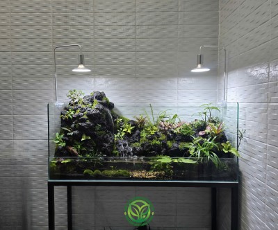 Paludarium Suối Đá Bình Yên