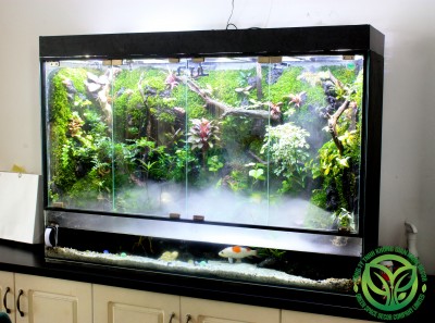 Paludarium Vách Rừng 128