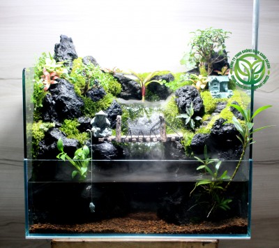 Paludarium - Thủy Mộc An