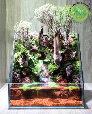 Paludarium Suối Nam Bộ