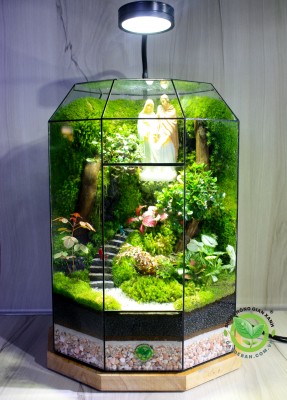 Terrarium Giáng Sinh 01