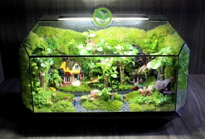 Terrarium-MS047-Family