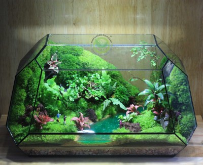 Terrarium Người Đưa Đò