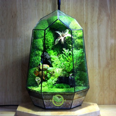 Terrarium-MS22.2