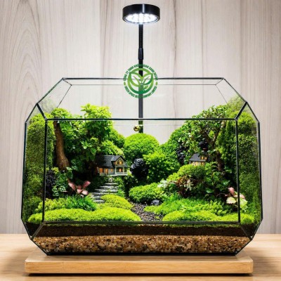 Terrarium-MS263-Family