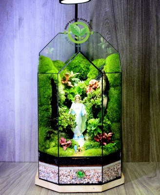 Terrarium-MS16-Đức Mẹ