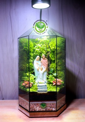 Terrarium Thánh Gia